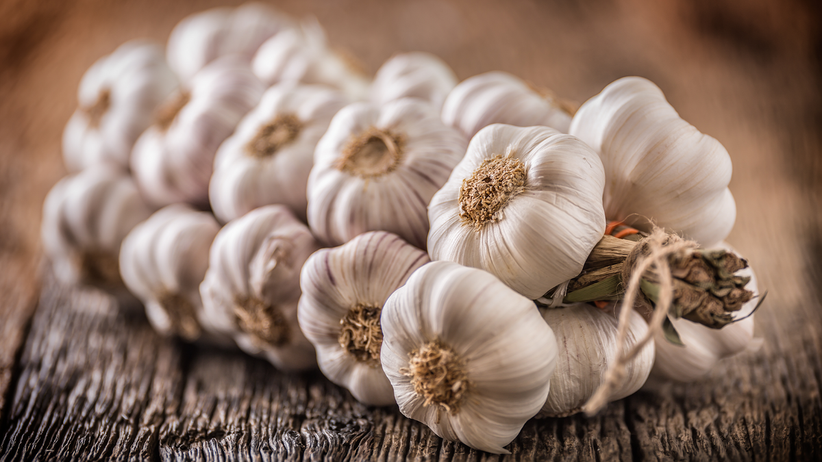 Garlic Extract How It Impacts Testosterone Levels TestoPrime USA