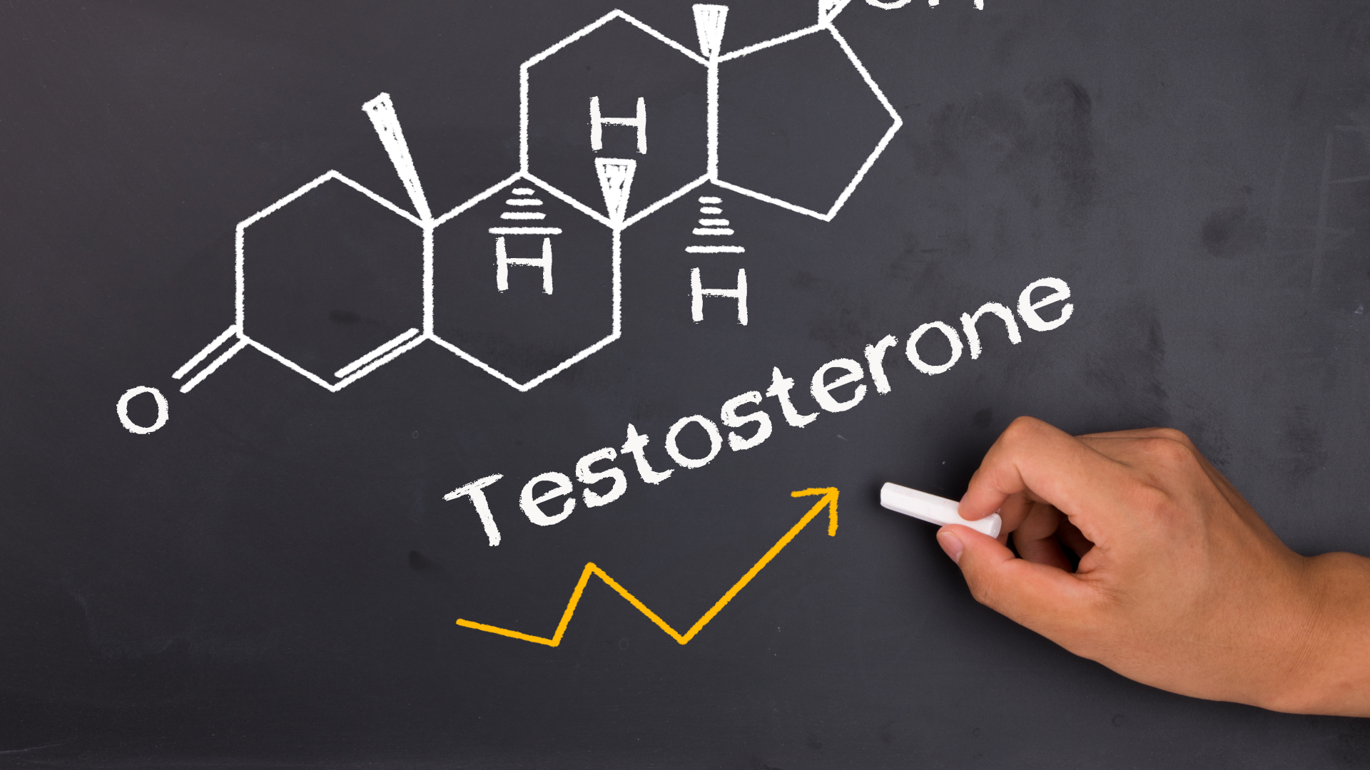 Ultimate testosterone guide