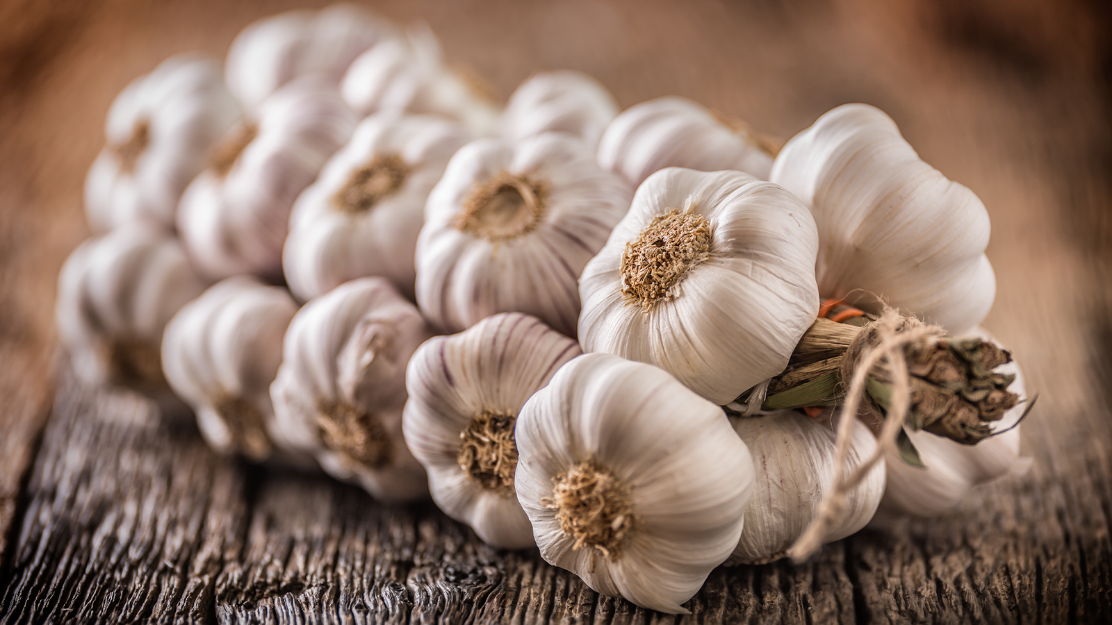 Garlic extract: how it impacts testosterone levels