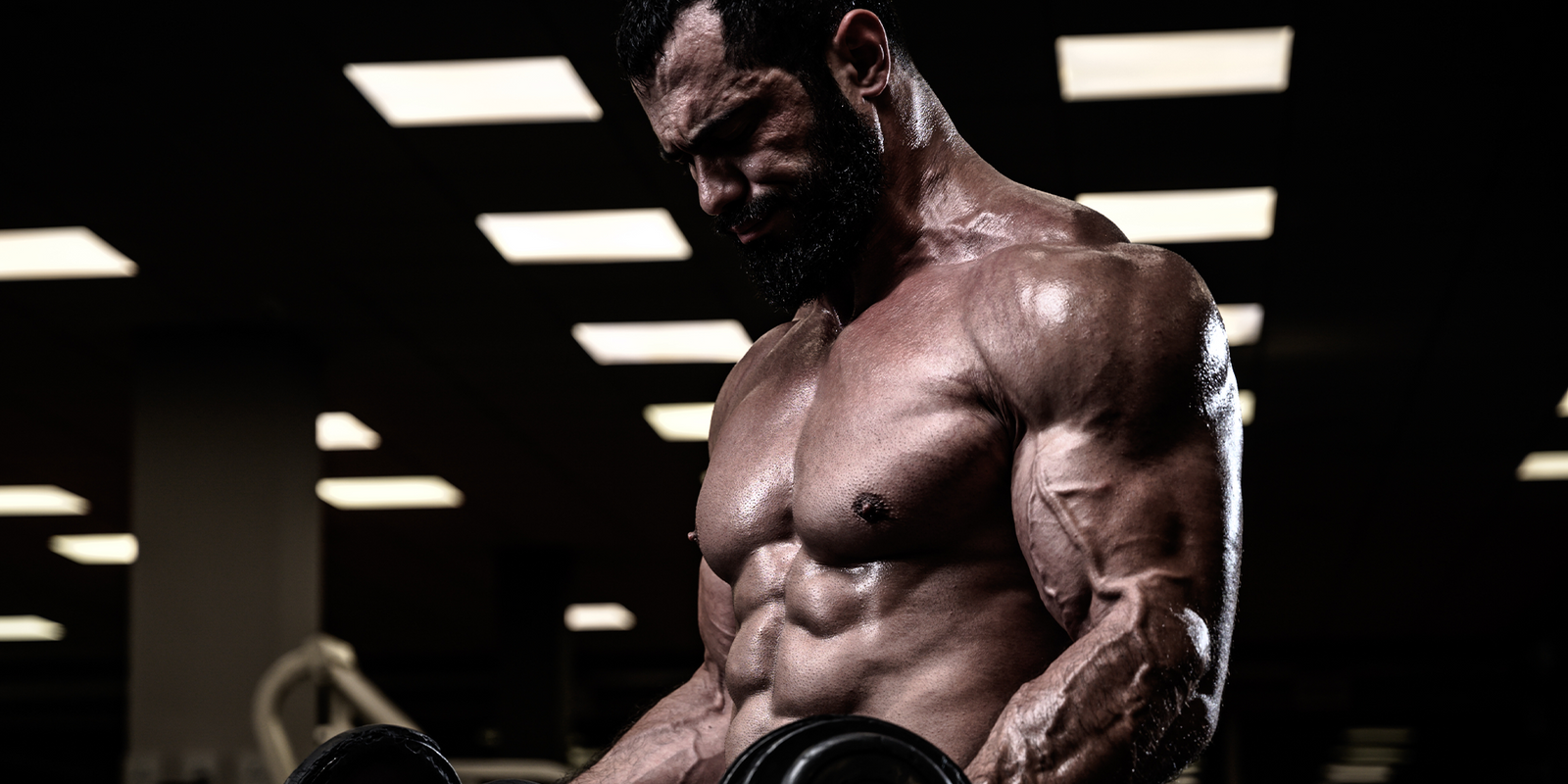 What is free testosterone?