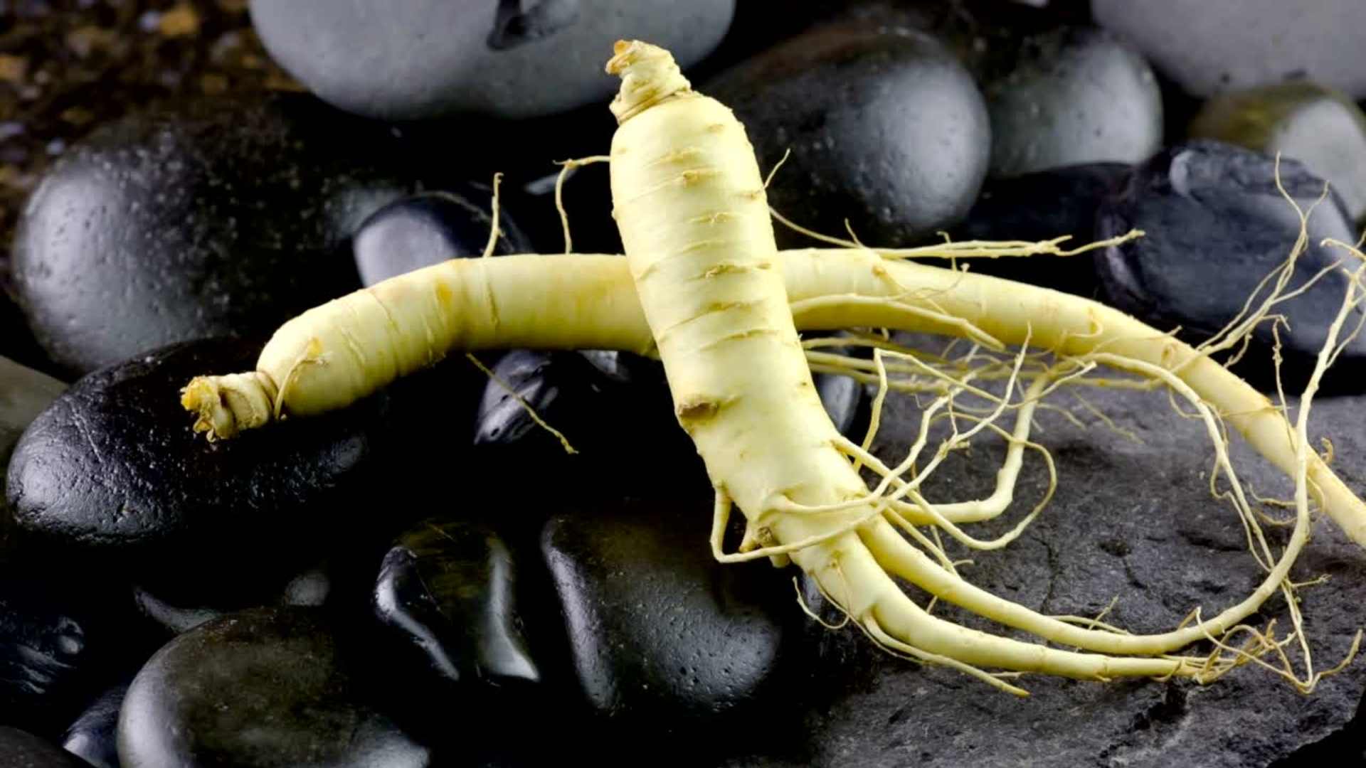 What Is Ginseng Plant And How Does It Help Testosterone Levels?