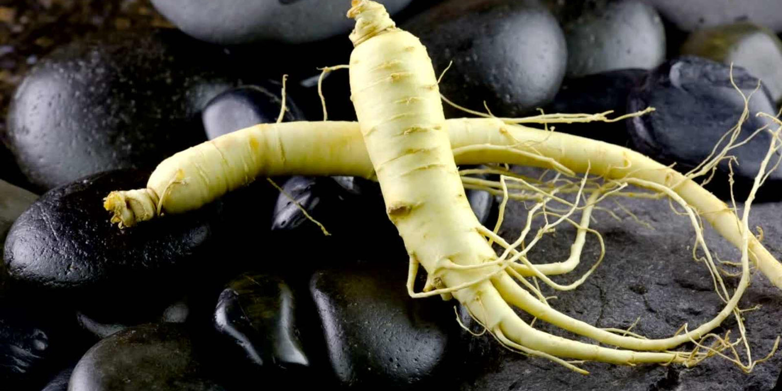 How Ginseng Helps Boost Testosterone Levels